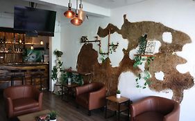 Hostel Gato Colonial